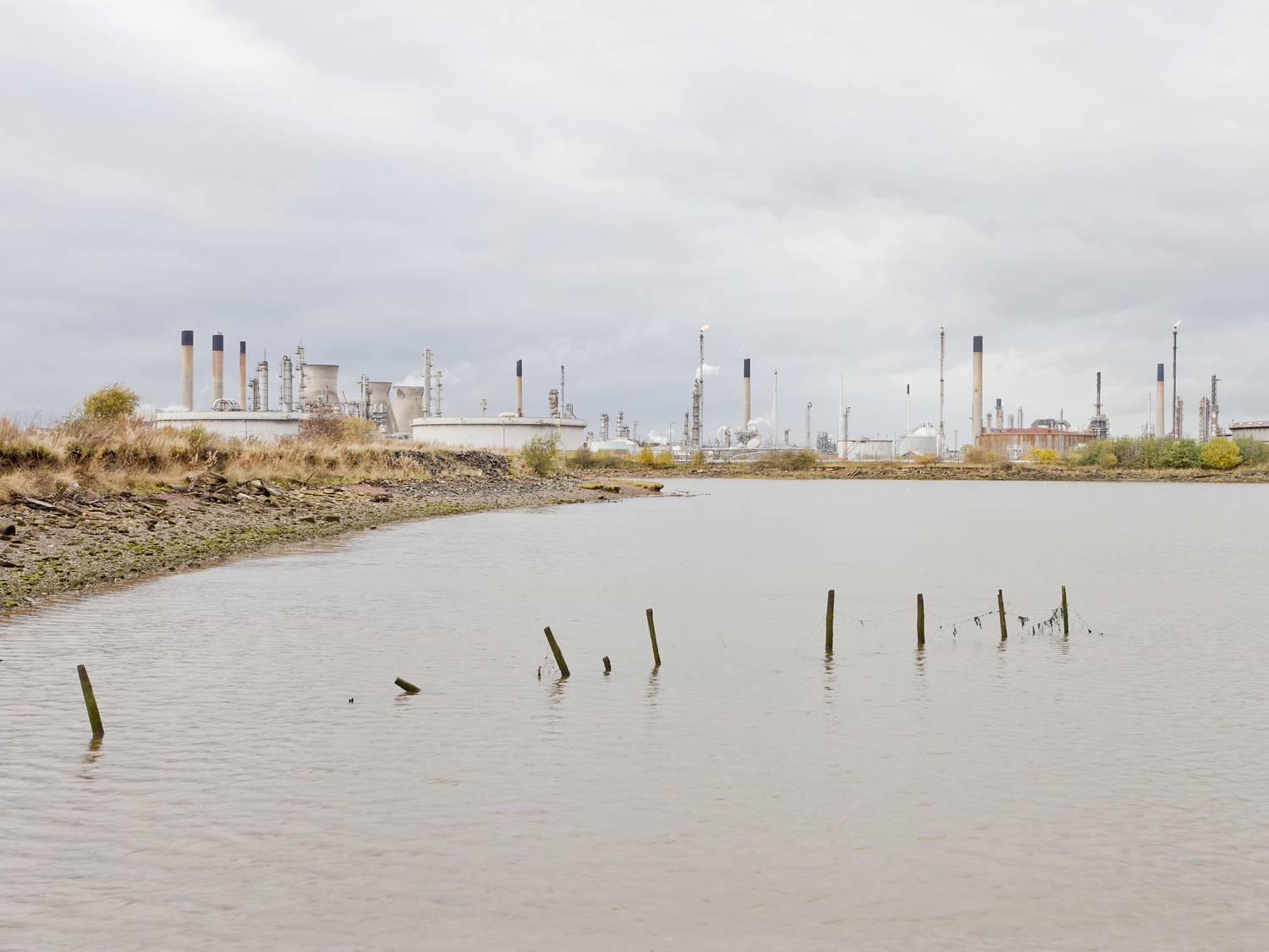 Dara Mcgrath Project Cleansweep