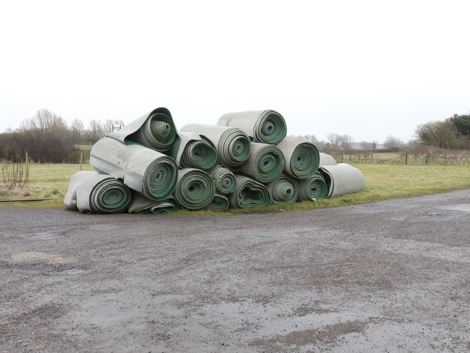 Dara Mcgrath Project Cleansweep