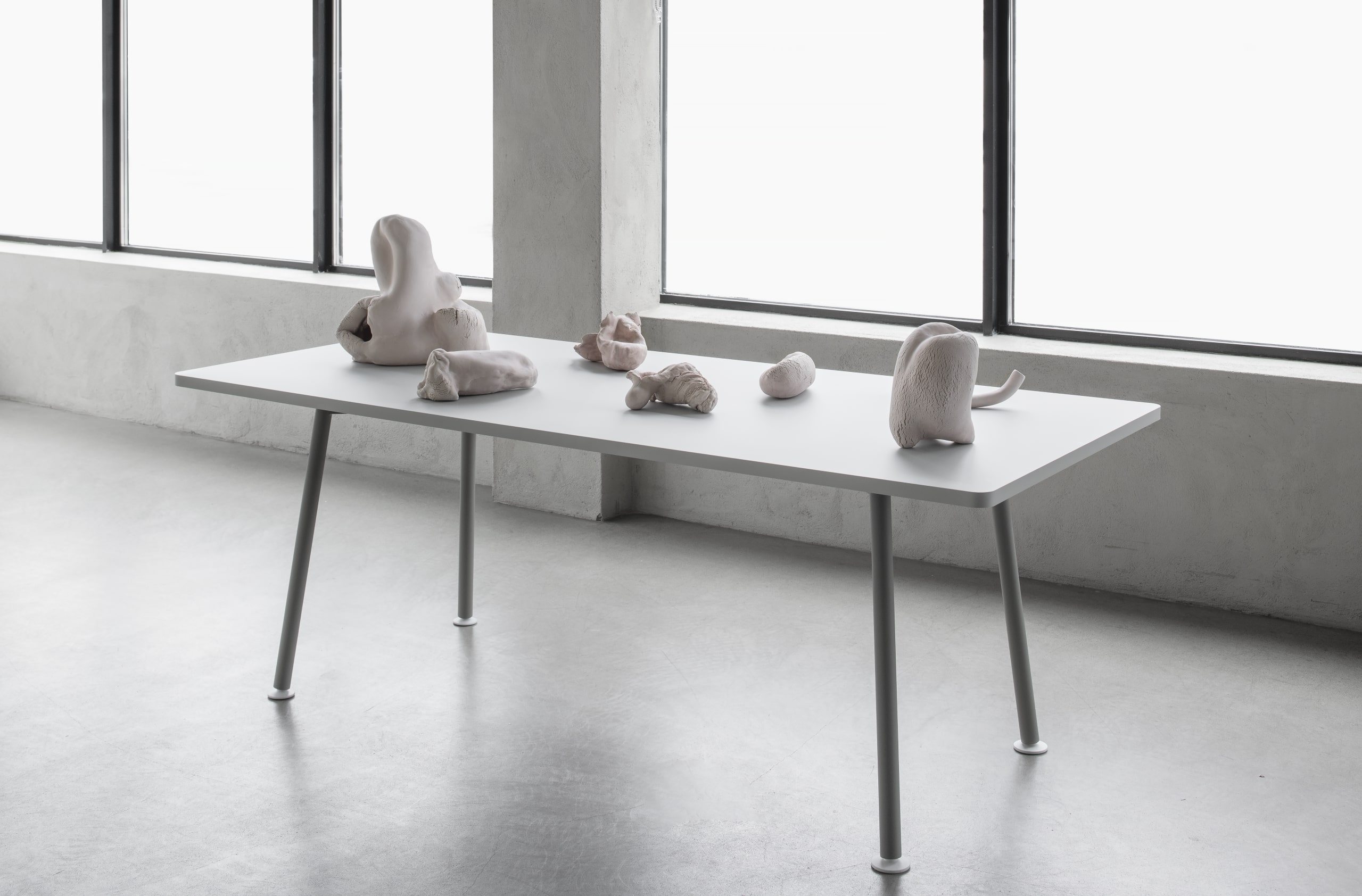 Åsa Stenerhag Alien Autopsy