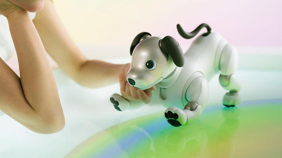 Sony aibo