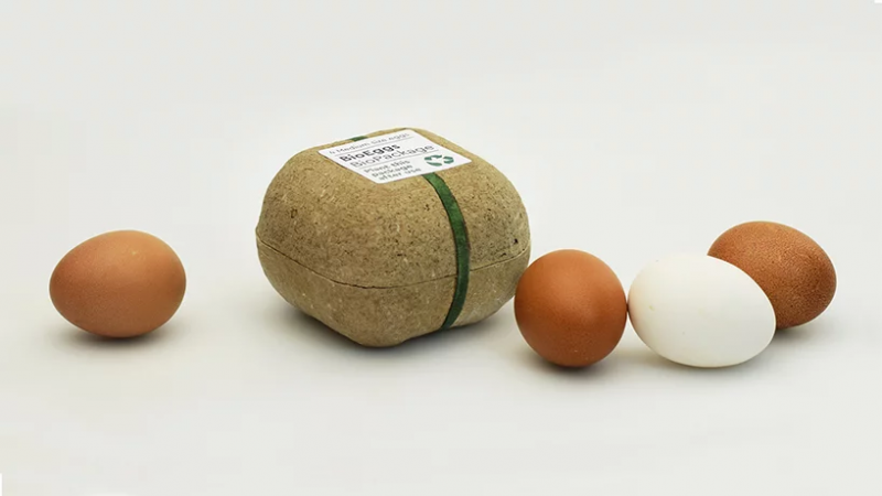 Biopack Egg Carton