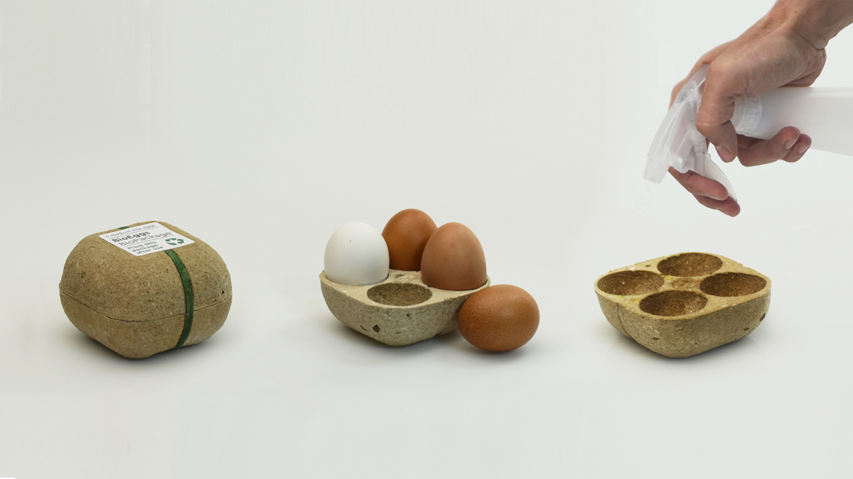 Biopack Egg Carton