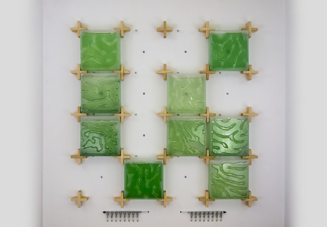 Hyunseok An The Coral