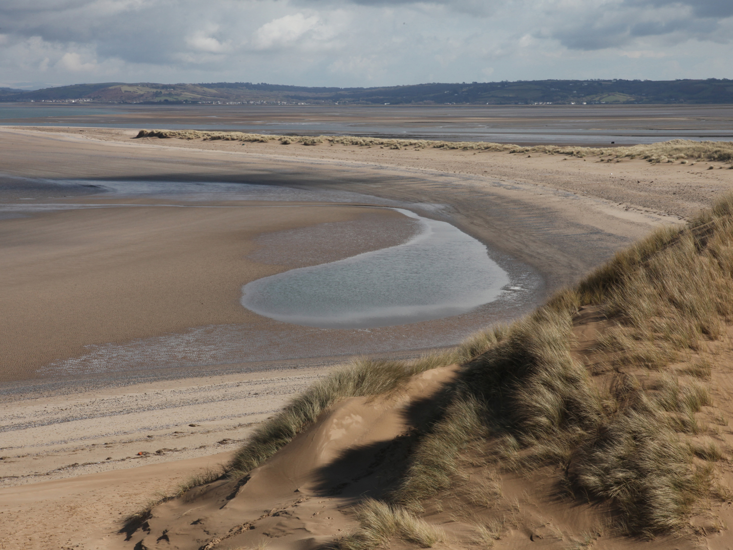 Dara Mcgrath Project Cleansweep