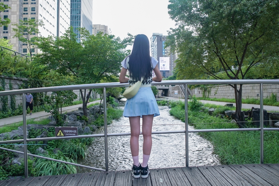 Cheonggyecheon Stream Restoration Project