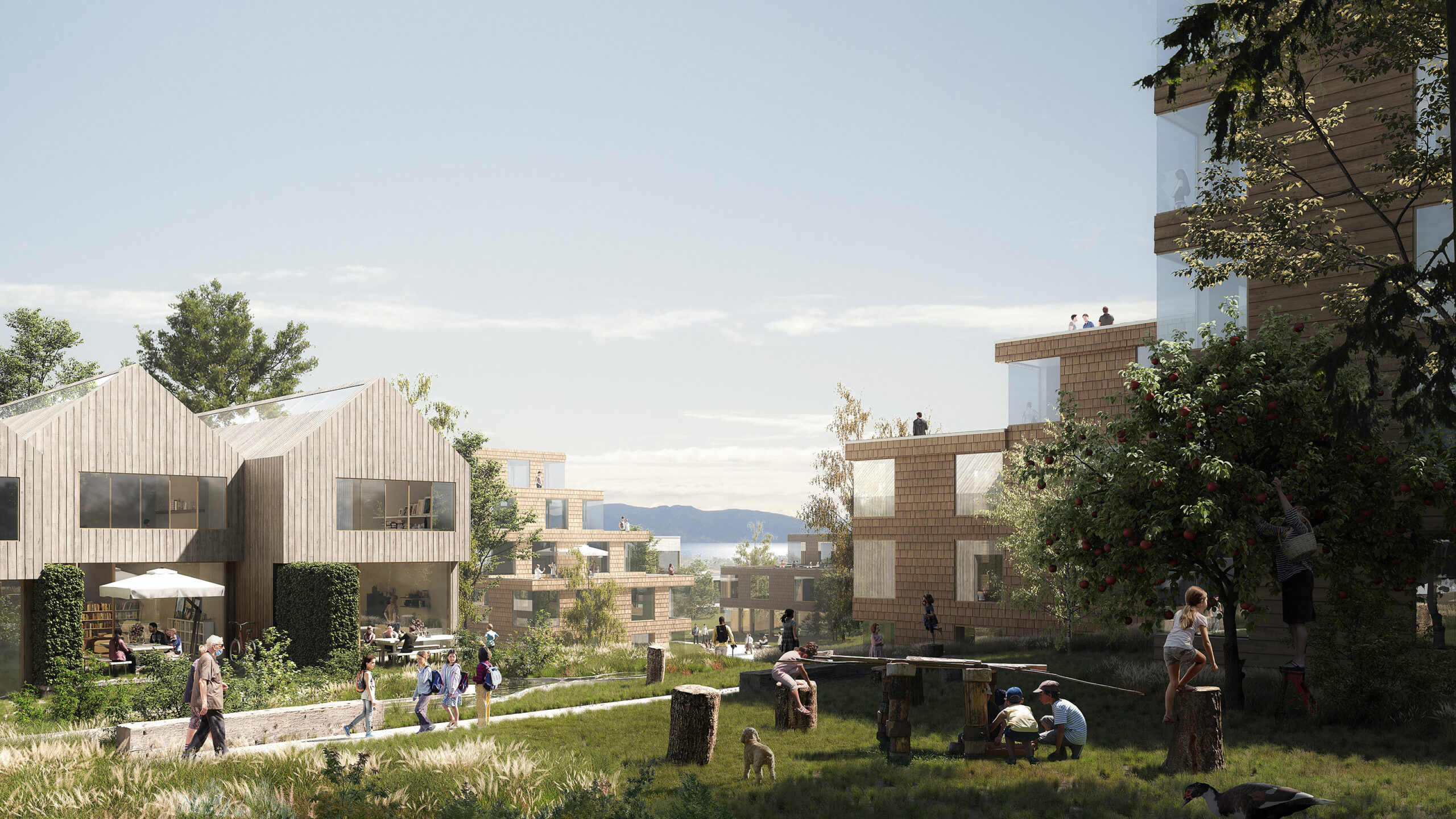 White Arkitekter Ankerhagen