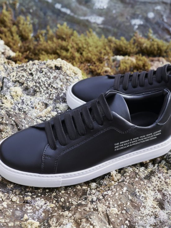 pangaia grape leather shoes