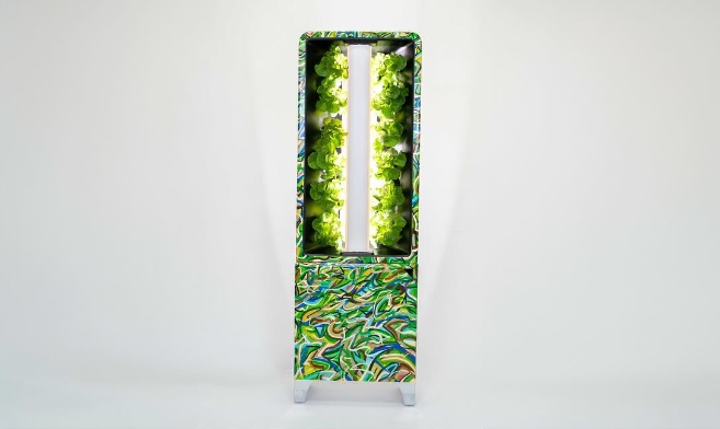 Just Vertical Giveaway