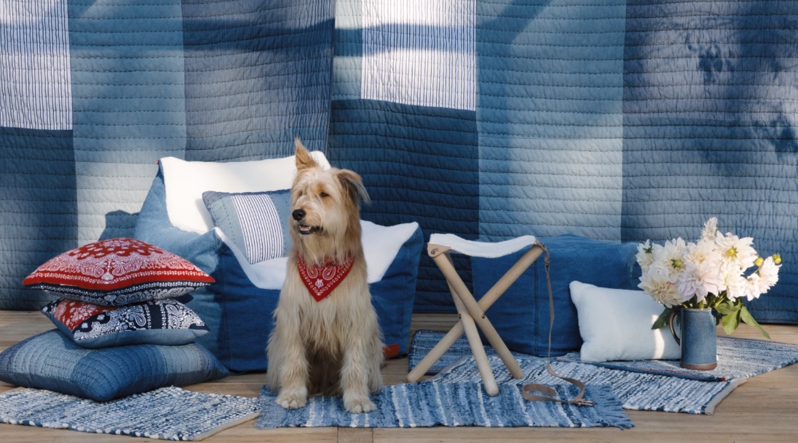 Levi's Launching Sustainable Homeware Line in Partnership with Target