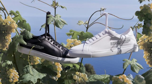 pangaia grape leather shoes