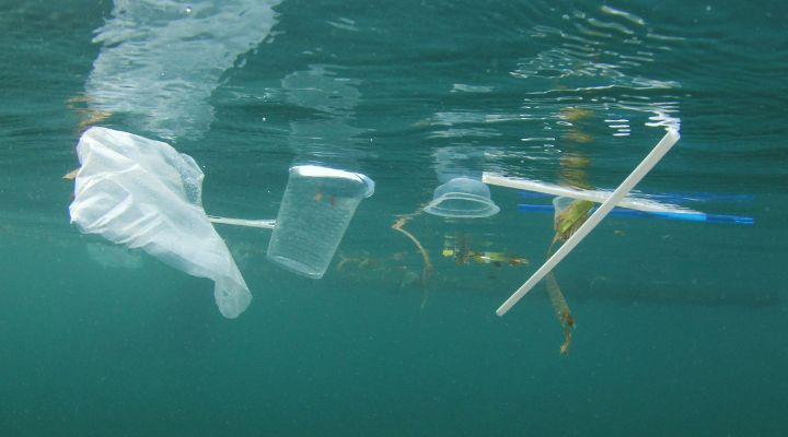 Paper or Plastic straw