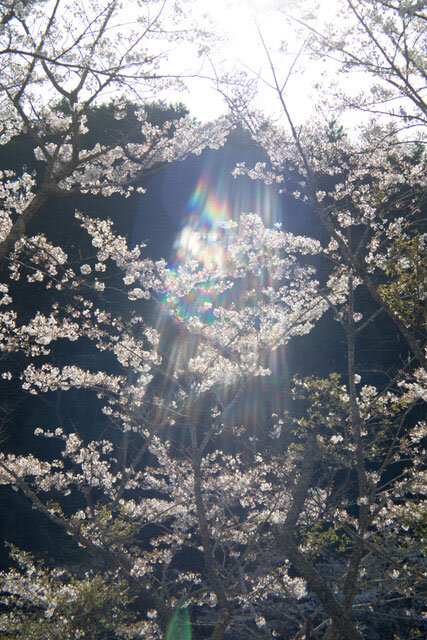 Pictures For Elmhurst