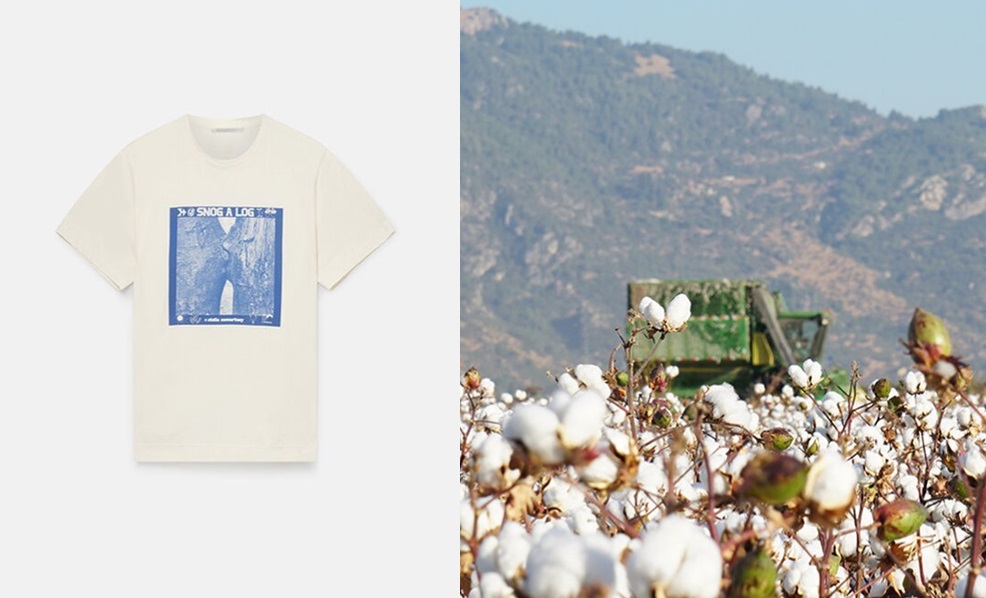 Brands That Use Traceable Cotton And Support Regenerative Cotton