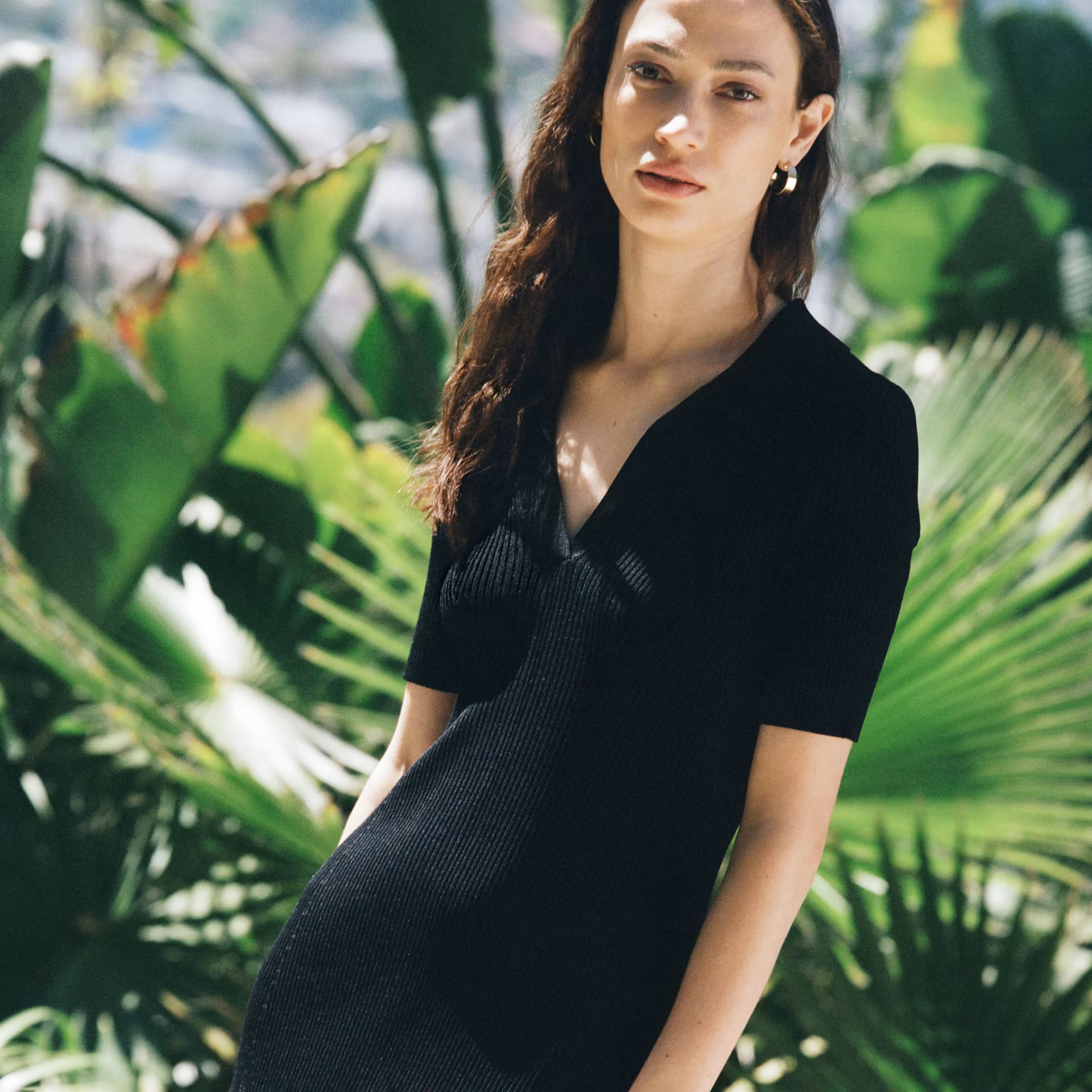Everlane Dress