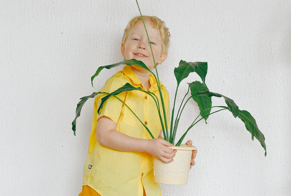 Canadian Plant Shops