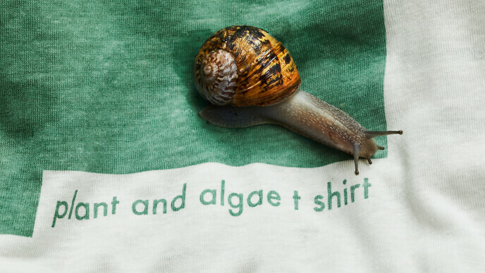 Vollebak Plant and Algae T Shirt